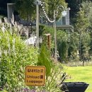 스테이 오힐 이미지