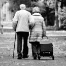 로하스요양원 이미지