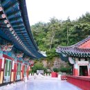 복천사 선원제전집도서 이미지