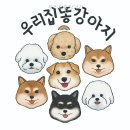 우리집똥강아지 - 사하구 다대로130번길 158 | 우리집똥강아지