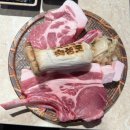 온리김치찌개 | [제주 2박 3일] Day1 - 숙성도 본점, 원앤온리, 카멜리아힐, 고집돌 우럭 중문점, 제주부영호텔