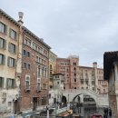 더베니스랜드 | 도쿄 여행ㅣ3ㅣ둘째날, 디즈니씨 꿀팁, 클룩 디즈니랜드 픽드랍 이용 후기