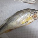 영광굴비한정식 이미지