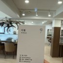 더예쁨 헤어샵 | 강남역 미용실 헤어샵 희올헤어 이현 디자이너 레이어드컷 후기