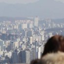 대일부동산 이미지