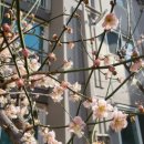 목련경노당 이미지