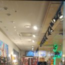 라페안경 이미지