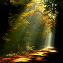 신나는 통기타 이미지