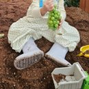 망우본동주민센터 이미지