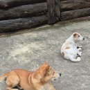 우산마을 앞 주차장 | 치앙마이반나절투어_ 매캄퐁+싼캄팽온천+보쌍민속우산마을 다녀온 후기