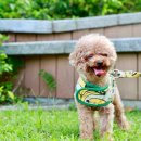 끌림 동물병원 이미지