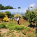 천일농장 이미지