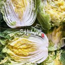 [주말퀵배송-토론토김치맛집 식혜맛집] 고향집밥 ❣️ 이미지