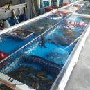 해나루칼국수 이미지