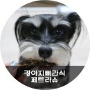 페트라슈 네이버블로그