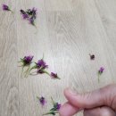 송별파티 이미지
