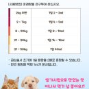 친절한 심약국 이미지