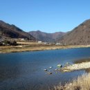 정선초 귤암분교장 | <정선> 강원도 정선 동강12경 힐링여행코스 - 가수리 느티나무