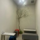 뽀찌PC | 웨딩준비, 본식 드레스 모니카블랑쉬 부산점 후기(리허설메이크업)