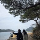 한산도식당 | 통영 한산도 제승당 유람선 후기 | 승전지 일주 코스 통영가볼만한곳 추천