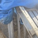 용호민박 이미지