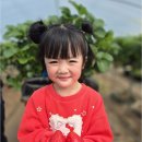 민들레재능어린이집 | 아이의 꿈과 행복이 자라나는 공간, 진주하대동어린이집 민들레재능 어린이집 알아보기