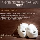 미인PC | 천안 마사지 후기/장점