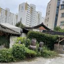 생생이두부보쌈 이미지