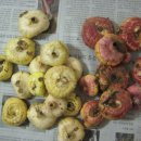 가을농장 이미지