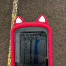 샛터농장 | #라이딩 #230924 #가오리코스 #경춘선자전거길 #너무좋은데?