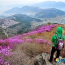 진달래축산 뉴시스
