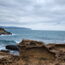 25년 하바는 여행 중~ 사진 중심으로~~~ 이미지