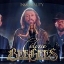 Céline Dion - Immortality (Bee Gees Tribute) 1997 - 2017 (HD) 이미지
