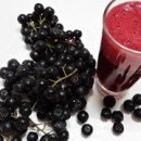 아로니아 이미지