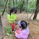 [숲놀이] 싱그러움 가득한 유월의 이야기 숲 🌳 이미지