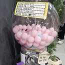 39 | 냥까스 / 남산역돈까스 / 부산돈까스맛집 / 금정구돈까스