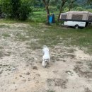 용담 섬바위마트 | 진안- 용담 섬바위