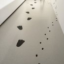토무또