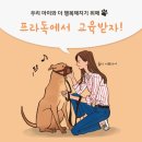 온가정 | 경기도 의정부 다견 가정, 새로 온 강아지 합사 방문 교육 후기