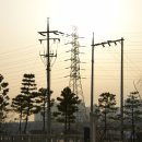 송선로-7 Daum카페