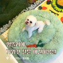 멍뜰리에 이미지
