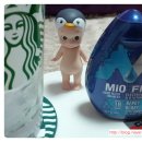 피트(FIT)24 네이버블로그