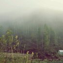 가리약수터 이미지