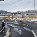 용호항 Daum카페