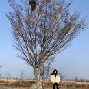 밀양아리랑오토캠핑장 이미지