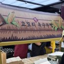 농가빵 | 광주 신세계 팝업 농가의식탁 고모리 찰옥수수빵 추천메뉴 솔직후기