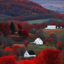고무정(孤鶩亭)의 숙부께서 옛 시의 운자를 보내주심에 차운하여 이미지