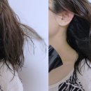 H4110 네이버블로그