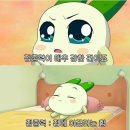 빠라삐리뽀