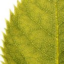 클릭전원미술학원 이미지